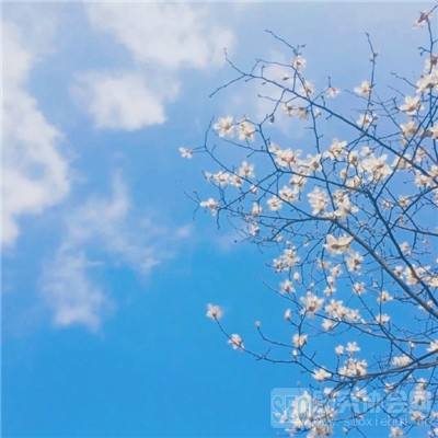 k1体育十年品牌值得信赖网址